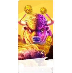 Buffalo
King