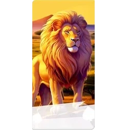 Lion
Safari