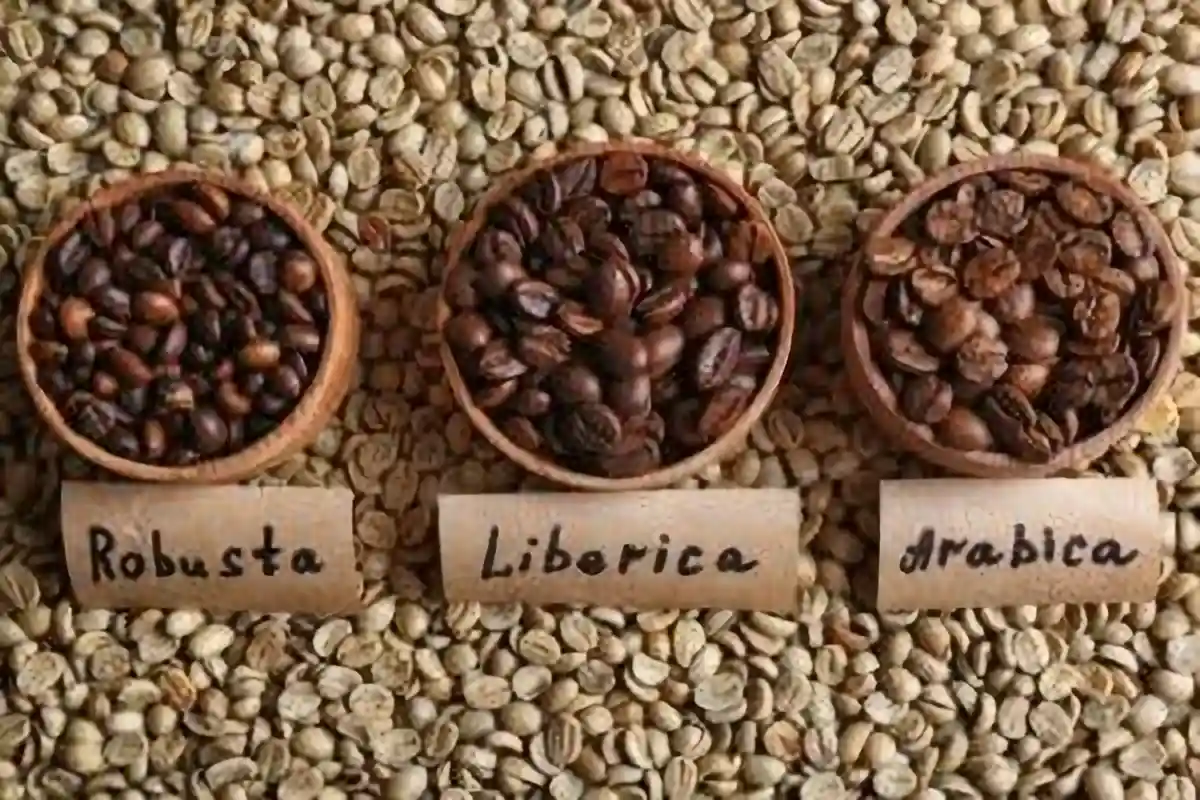 jenis kopi, jenis jenis kopi