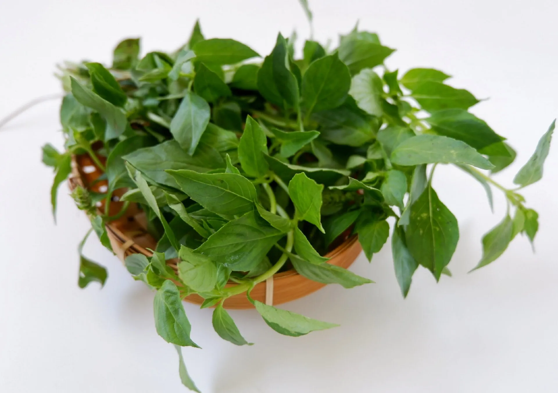 kemangi, daun kemangi, kandungan daun kemangi, manfaat daun kemangi